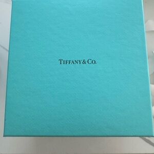 Tiffany & Co. Robin's Egg Blue Presentation Box